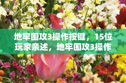 地牢围攻3操作疑点大揭秘图片
