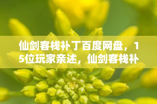 仙剑客栈补丁百度网盘图片