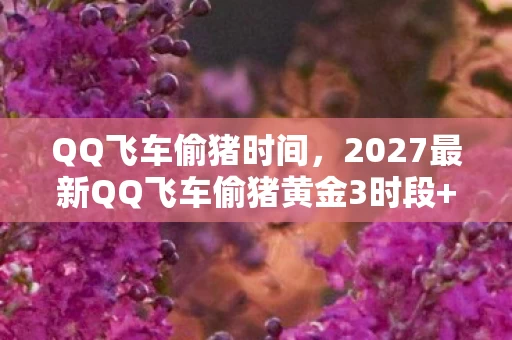 2027最新QQ飞车偷猪黄金3时段图片