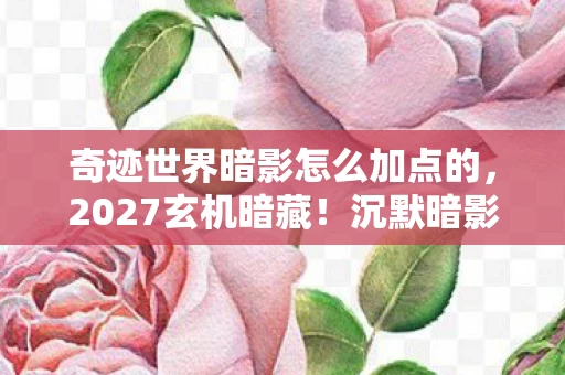 奇迹世界暗影怎么加点的图片