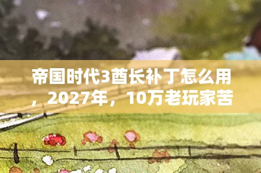 帝国时代3酋长补丁怎么用图片