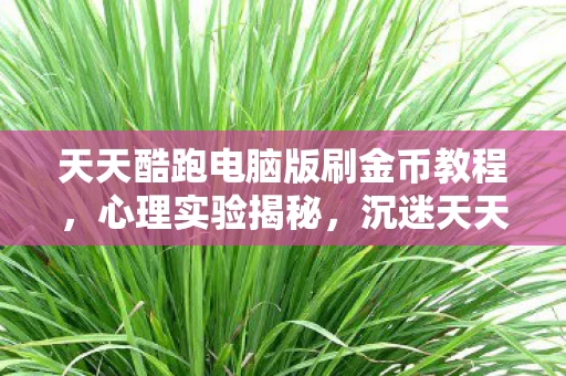 天天酷跑电脑版刷金币教程图片