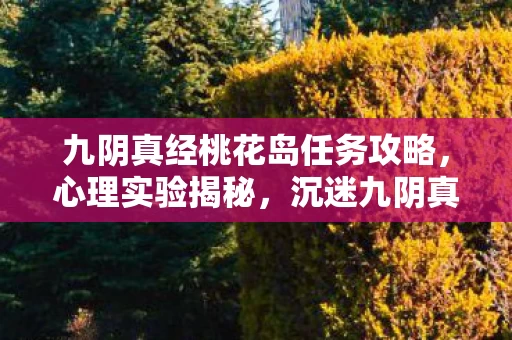 沉迷九阴真经桃花岛任务的细思极恐真相图片