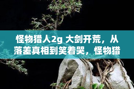怪物猎人2g 大剑开荒图片