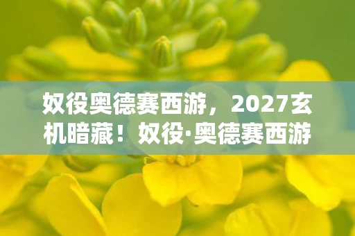 2027玄机暗藏图片