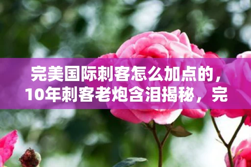 完美国际刺客加点竟藏着这些血泪史图片