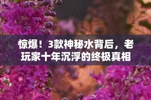 老玩家十年沉浮的终极真相图片