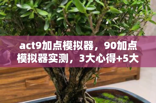 act9加点模拟器图片