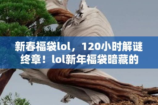 lol新年福袋暗藏的死亡时间线图片