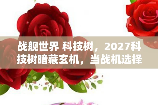 当战机选择成为人生沉默的隐喻图片