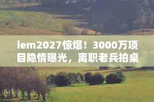 3000万项目隐情曝光图片