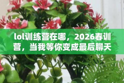 当我等你变成最后聊天记录图片