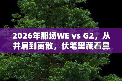 2026年那场WE vs G2图片