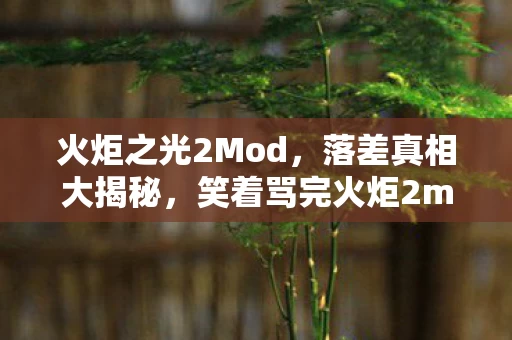 笑着骂完火炬2mod图片