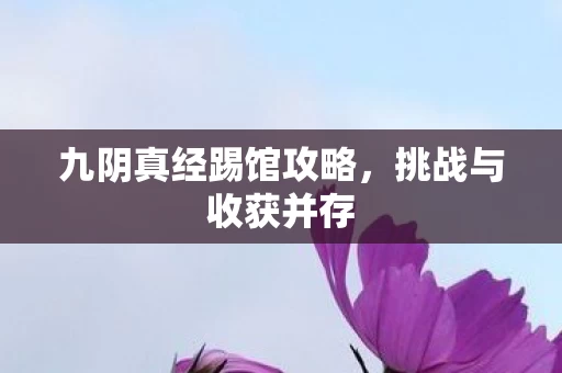九阴真经踢馆攻略图片