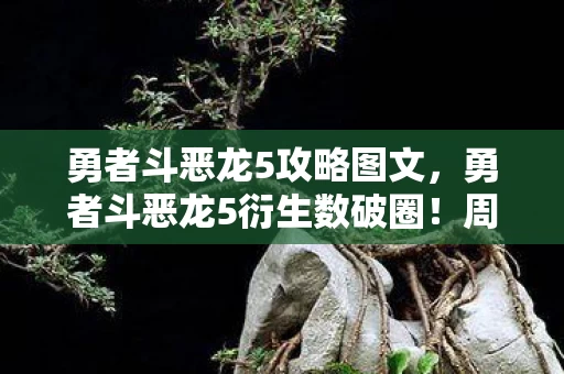 败家玩家意想不到的收藏之旅图片
