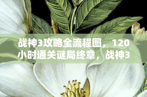 120小时通关谜局终章图片