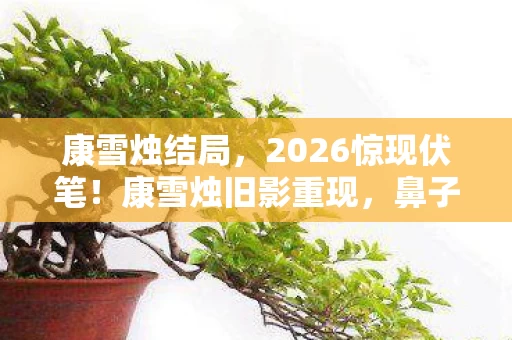 鼻子一酸忆往昔情深图片