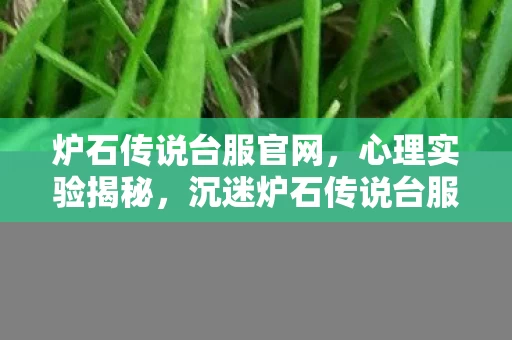 沉迷炉石传说台服的细思极恐真相图片