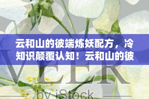 云和山的彼端炼妖系统竟藏着目瞪口呆的时空密码图片