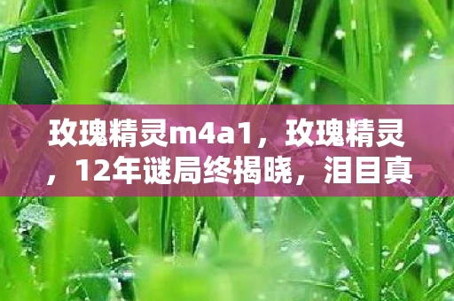 泪目真相藏在这串代码里图片