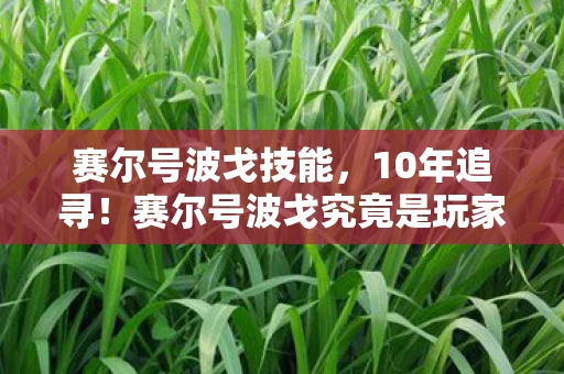 赛尔号波戈究竟是玩家还是孤独守望者图片