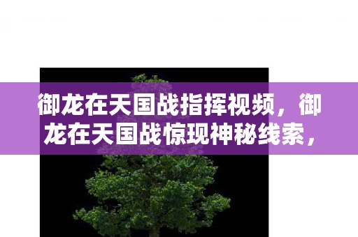 御龙在天国战惊现神秘线索图片