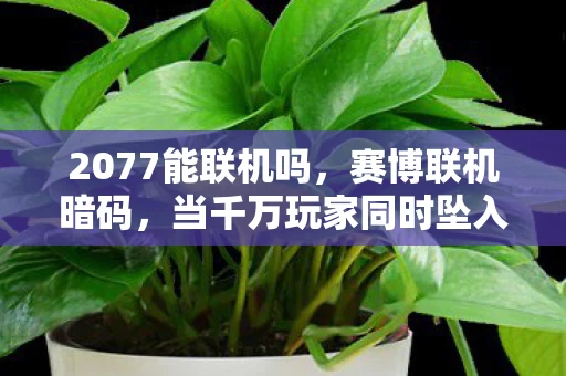 当千万玩家同时坠入数据深渊图片