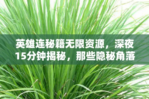 英雄连老兵的独家记忆图片