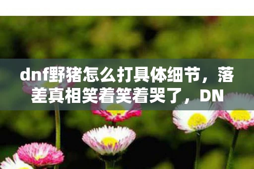 dnf野猪怎么打具体细节图片