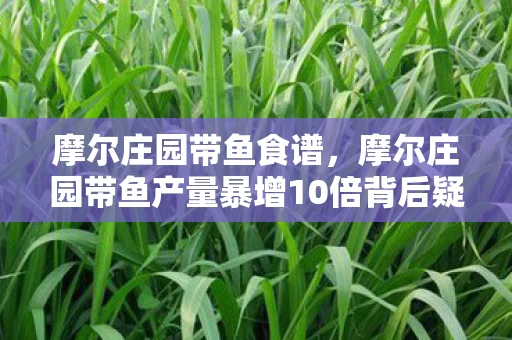 摩尔庄园带鱼产量暴增10倍背后疑云重重图片