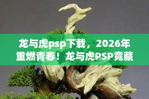 龙与虎PSP竟藏惊天反转图片