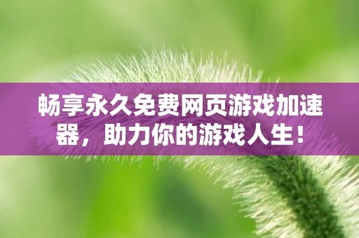 畅享永久免费网页游戏加速器图片