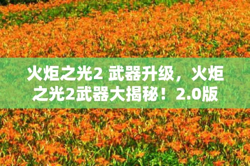 火炬之光2 武器升级图片