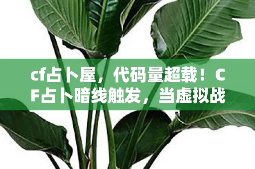 当虚拟战场成为我的生存法则图片