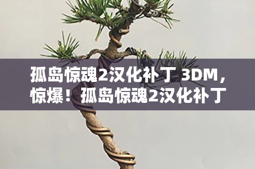 孤岛惊魂2汉化补丁 3DM图片