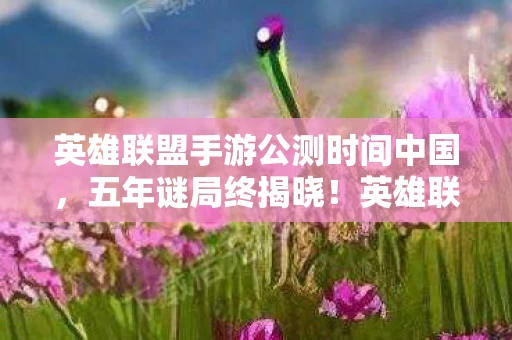 英雄联盟手游公测时间中国图片