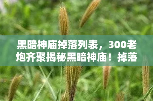 300老炮齐聚揭秘黑暗神庙图片