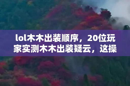 20位玩家实测木木出装疑云图片