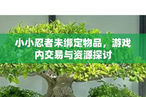 游戏内交易与资源探讨图片