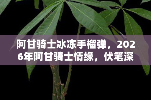 阿甘骑士冰冻手榴弹,2026年阿甘骑士情缘,伏笔深埋,那些凌晨的等你让我鼻子一酸 阿甘骑士冰冻手榴弹,2026年阿甘骑士情缘,伏笔深埋,那些凌晨的等你让我鼻子一酸