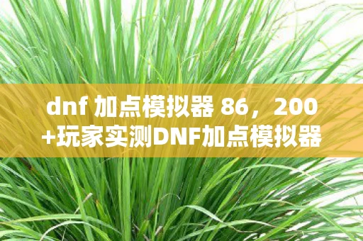 dnf 加点模拟器 86,200+玩家实测DNF加点模拟器,这疑点让我绷不住在网吧哭成狗! dnf 加点模拟器 86,200+玩家实测DNF加点模拟器,这疑点让我绷不住在网吧哭成狗!