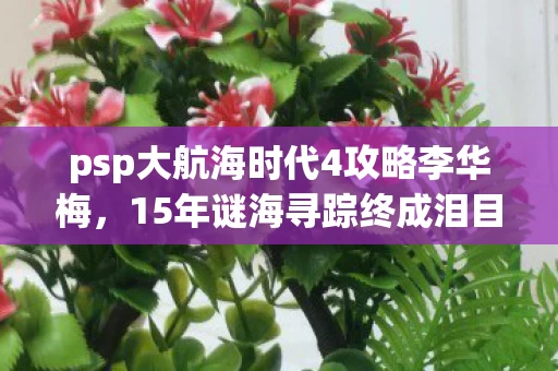 psp大航海时代4攻略李华梅,15年谜海寻踪终成泪目绝响,当PSP大航海时代4的潮水退去 psp大航海时代4攻略李华梅,15年谜海寻踪终成泪目绝响,当PSP大航海时代4的潮水退去