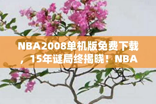 NBA2008单机版免费下载，15年谜局终揭晓！NBA2008单机版死亡时刻表，泪目真相在此