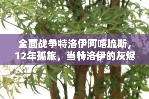 全面战争特洛伊阿喀琉斯,12年孤旅,当特洛伊的灰烬在代码中重生,我们为何泪目? 全面战争特洛伊阿喀琉斯,12年孤旅,当特洛伊的灰烬在代码中重生,我们为何泪目?
