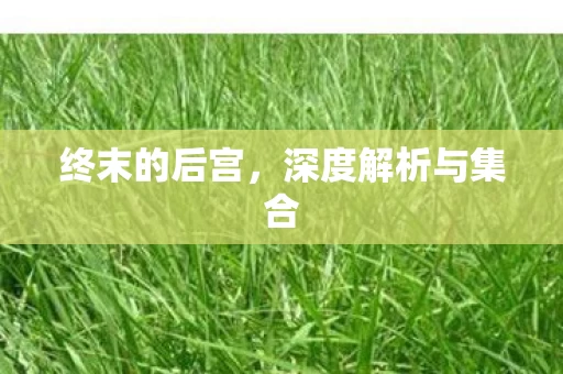 深度解析与集合图片