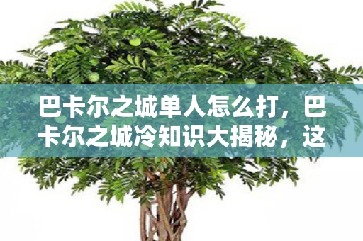 巴卡尔之城单人怎么打,巴卡尔之城冷知识大揭秘,这些颠覆性设计,让你目瞪口呆! 巴卡尔之城单人怎么打,巴卡尔之城冷知识大揭秘,这些颠覆性设计,让你目瞪口呆!
