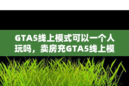 GTA5线上模式可以一个人玩吗,卖房充GTA5线上模式狂砸80万!离婚协议藏惊天隐情,妻子签字时手抖了! GTA5线上模式可以一个人玩吗,卖房充GTA5线上模式狂砸80万!离婚协议藏惊天隐情,妻子签字时手抖了!