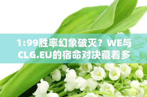 1:99胜率幻象破灭?WE与CLG.EU的宿命对决藏着多少扎心真相 1:99胜率幻象破灭?WE与CLG.EU的宿命对决藏着多少扎心真相