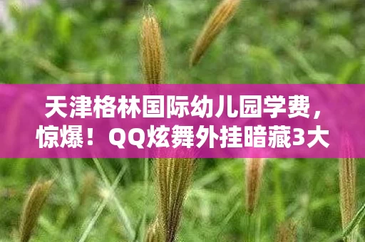 天津格林国际幼儿园学费,惊爆!QQ炫舞外挂暗藏3大致命陷阱,99%玩家已中招? 天津格林国际幼儿园学费,惊爆!QQ炫舞外挂暗藏3大致命陷阱,99%玩家已中招?